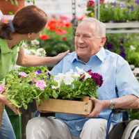 Senior man in wheelchair in garden centre